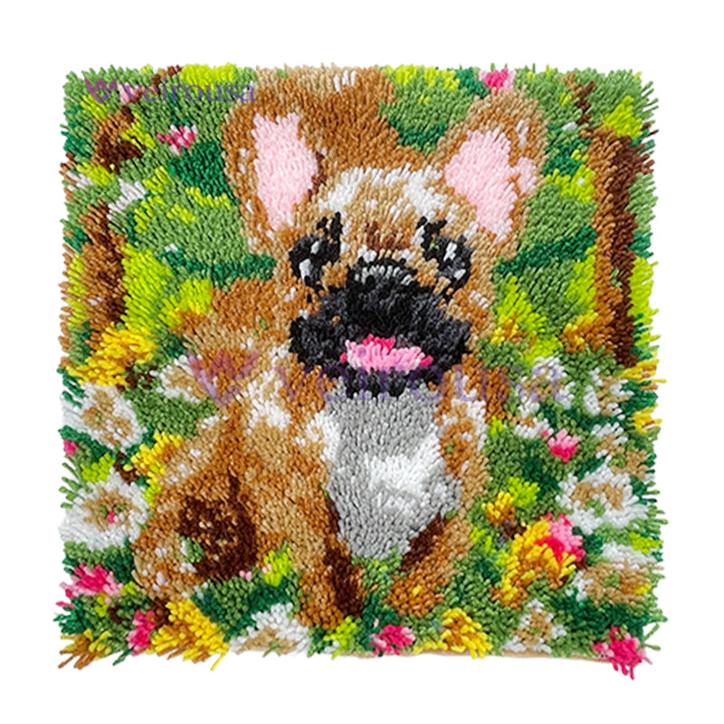 Garden Baby French Bulldog - Latch Hook Pillow Kit
