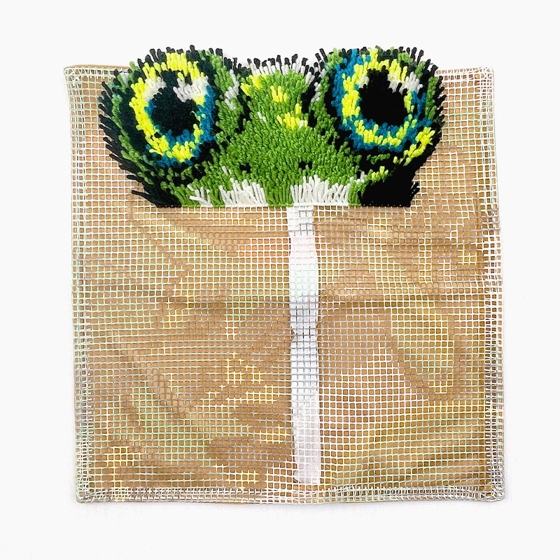 Kit de coussin à crochet Naughty Frog pour adultes, débutants et enfants